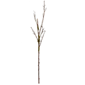 56" Brown Twig Branch with Moss