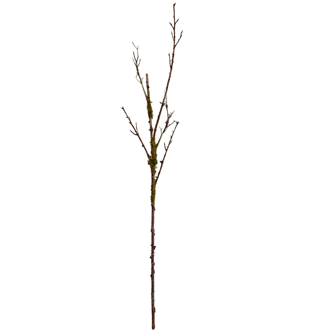 56" Brown Twig Branch with Moss