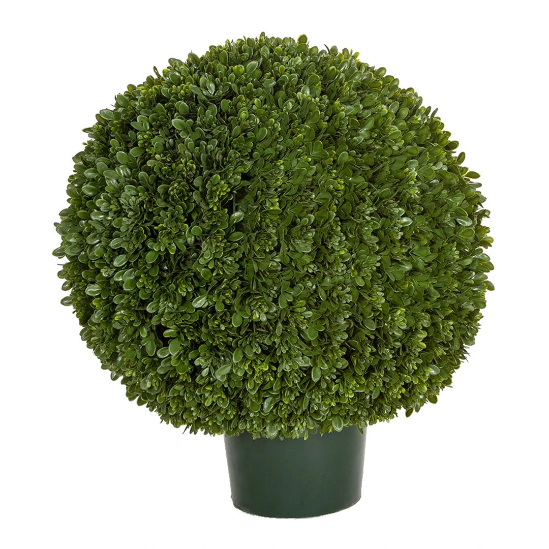 24" Potted Japanese Boxwood Ball Topiary
