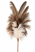 Chasse Speckled Feather Spray — 19"