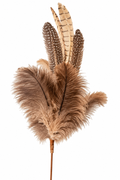 Chasse Speckled Feather Spray — 25"